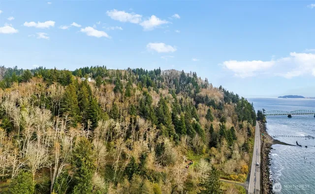 a view of a yard with plants