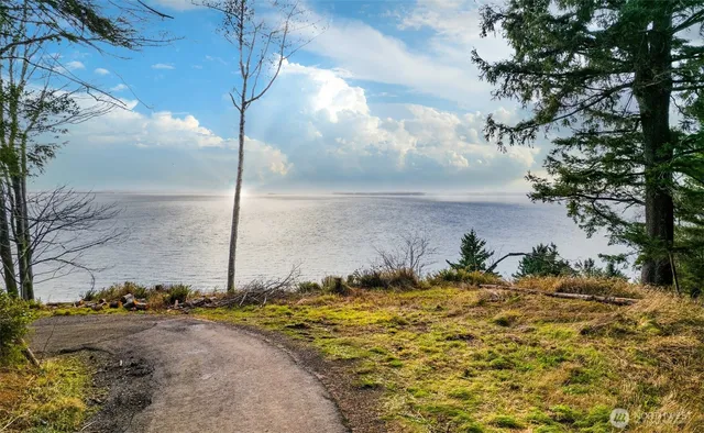a view of a pathway with a yard