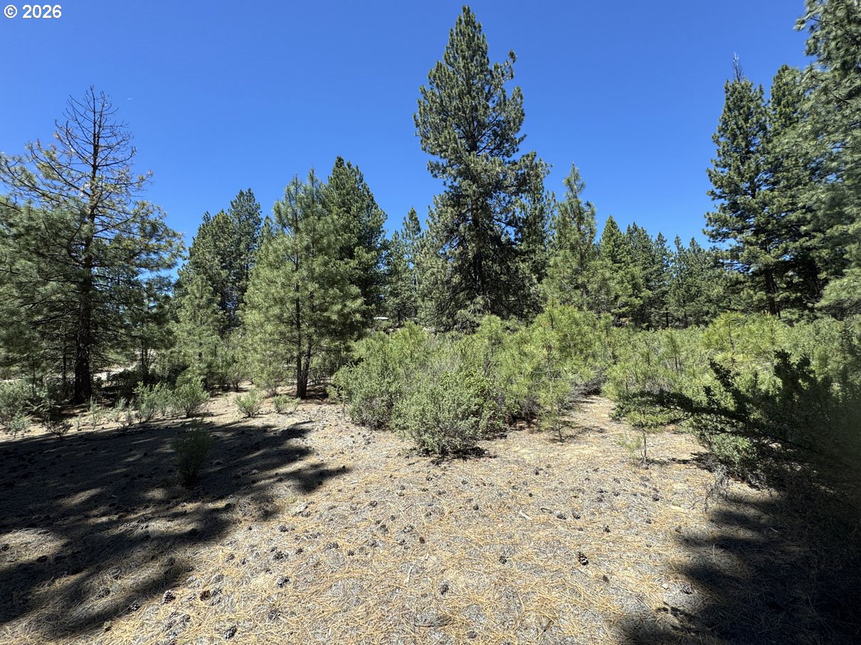 Friendship Drive, Unit 15 Chiloquin, OR 97624 - Photo 21 of 41