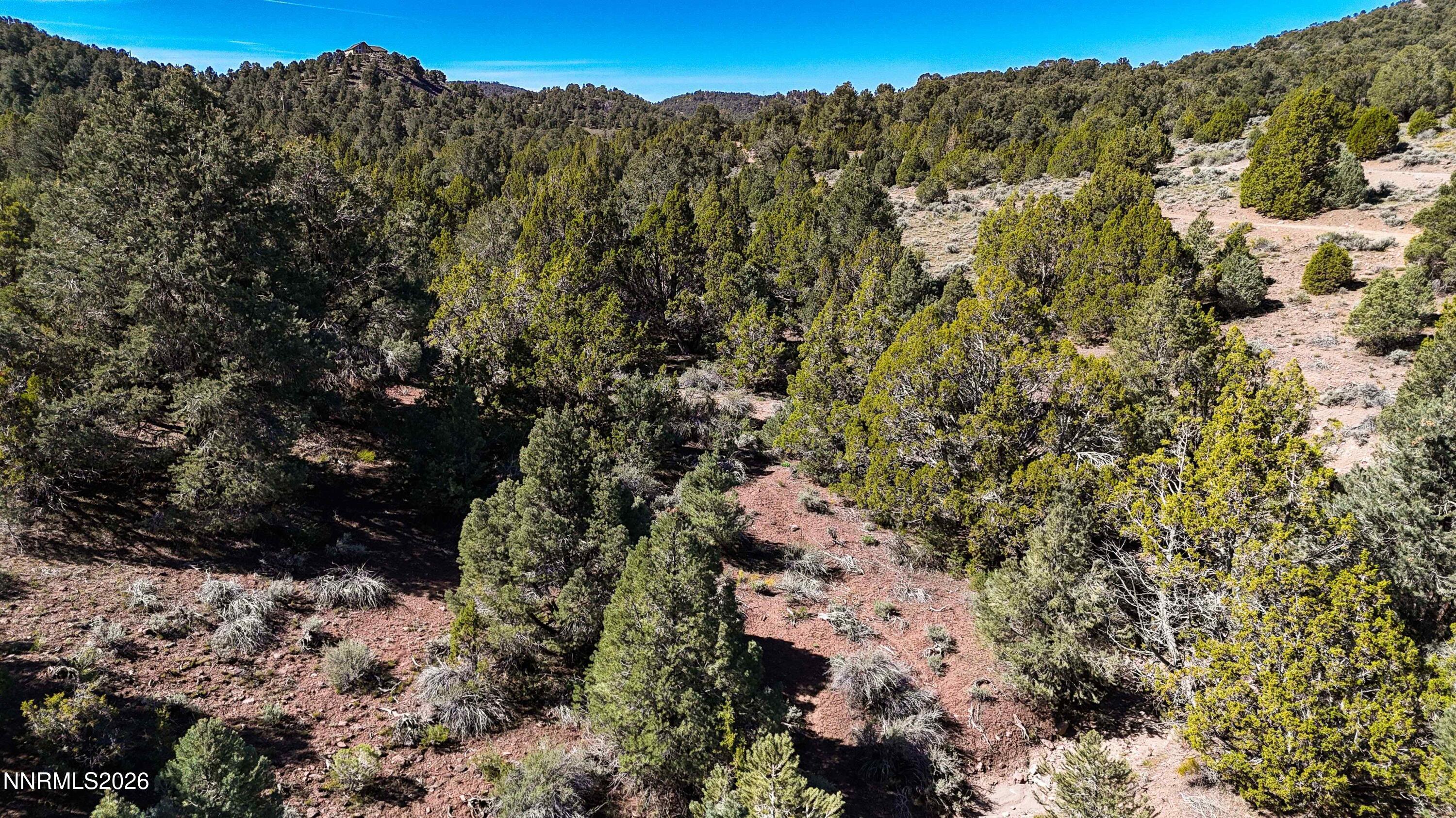 2120 Castle Peak Road Reno, NV 89521 - Photo 49 of 54 50