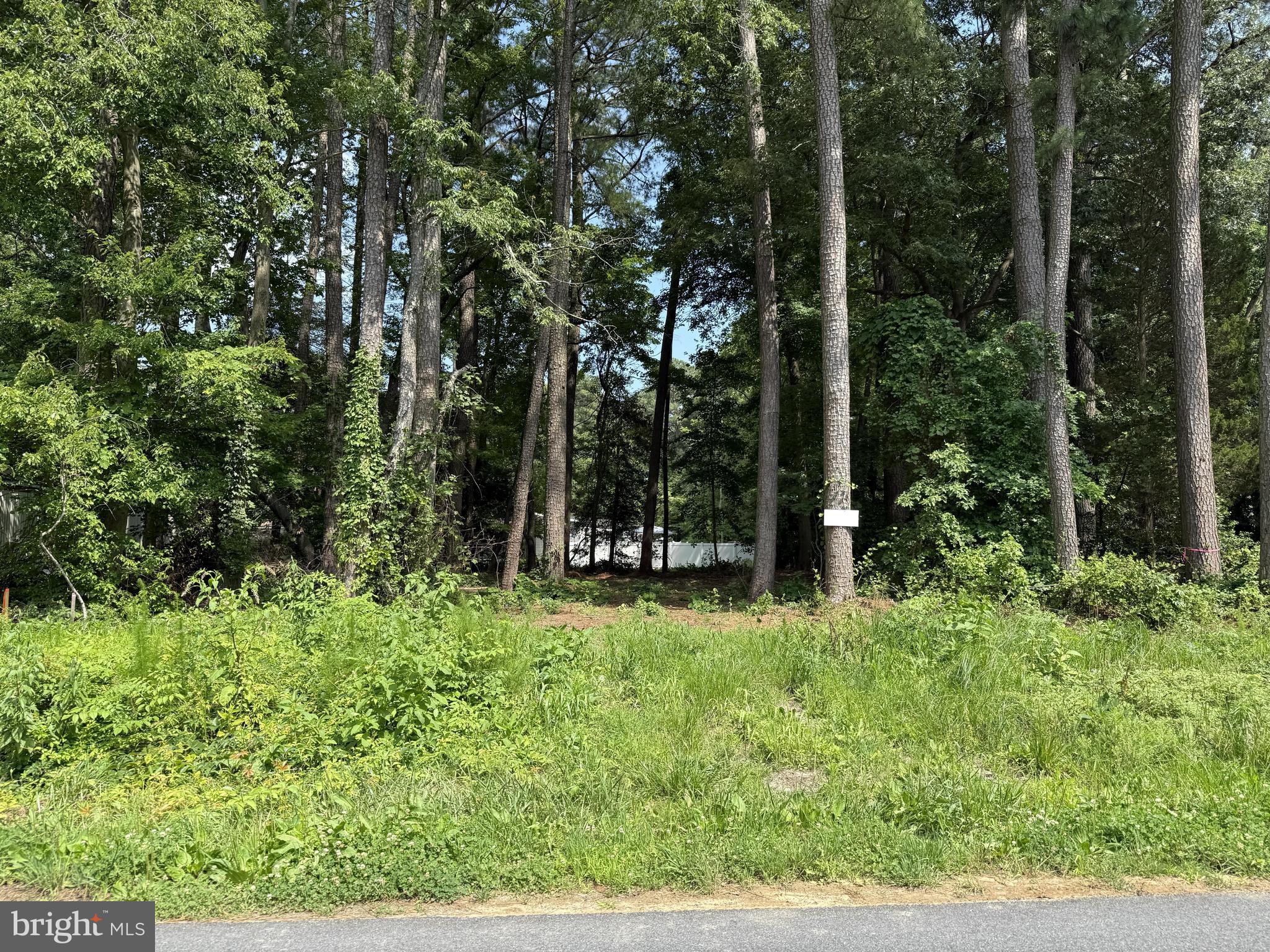 26149 Autumn Road Millsboro, DE 19966 - Photo 2 of 4 Picture of Lot taken 7/2/26
