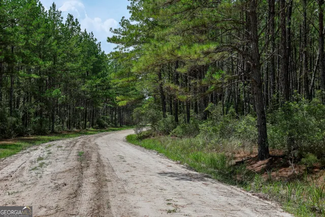 a view of a road with a trees