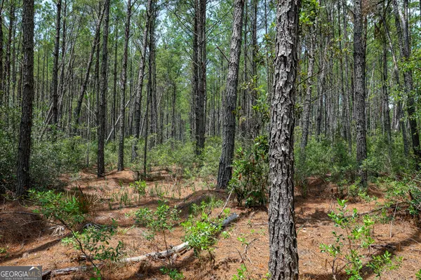 a view of outdoor space and trees