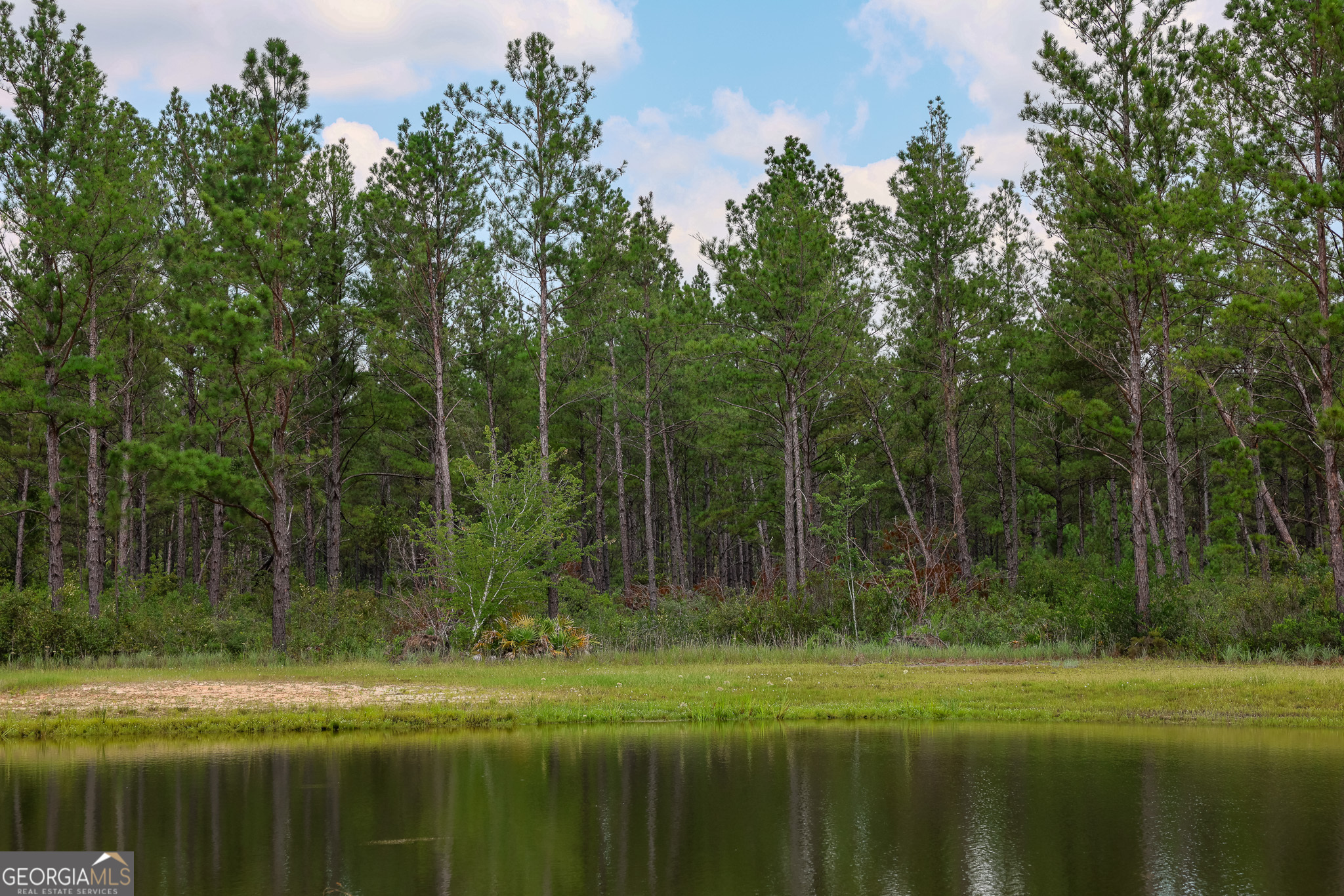 0 Grey Hawk Road Millwood, GA 31552 - Photo 7 of 15 a view of a park