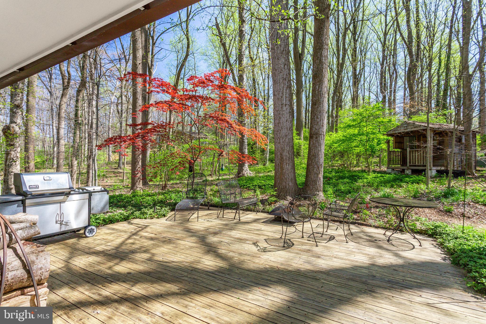 8129 Hamilton Spring Road Bethesda, MD 20817 - Photo 38 of 45