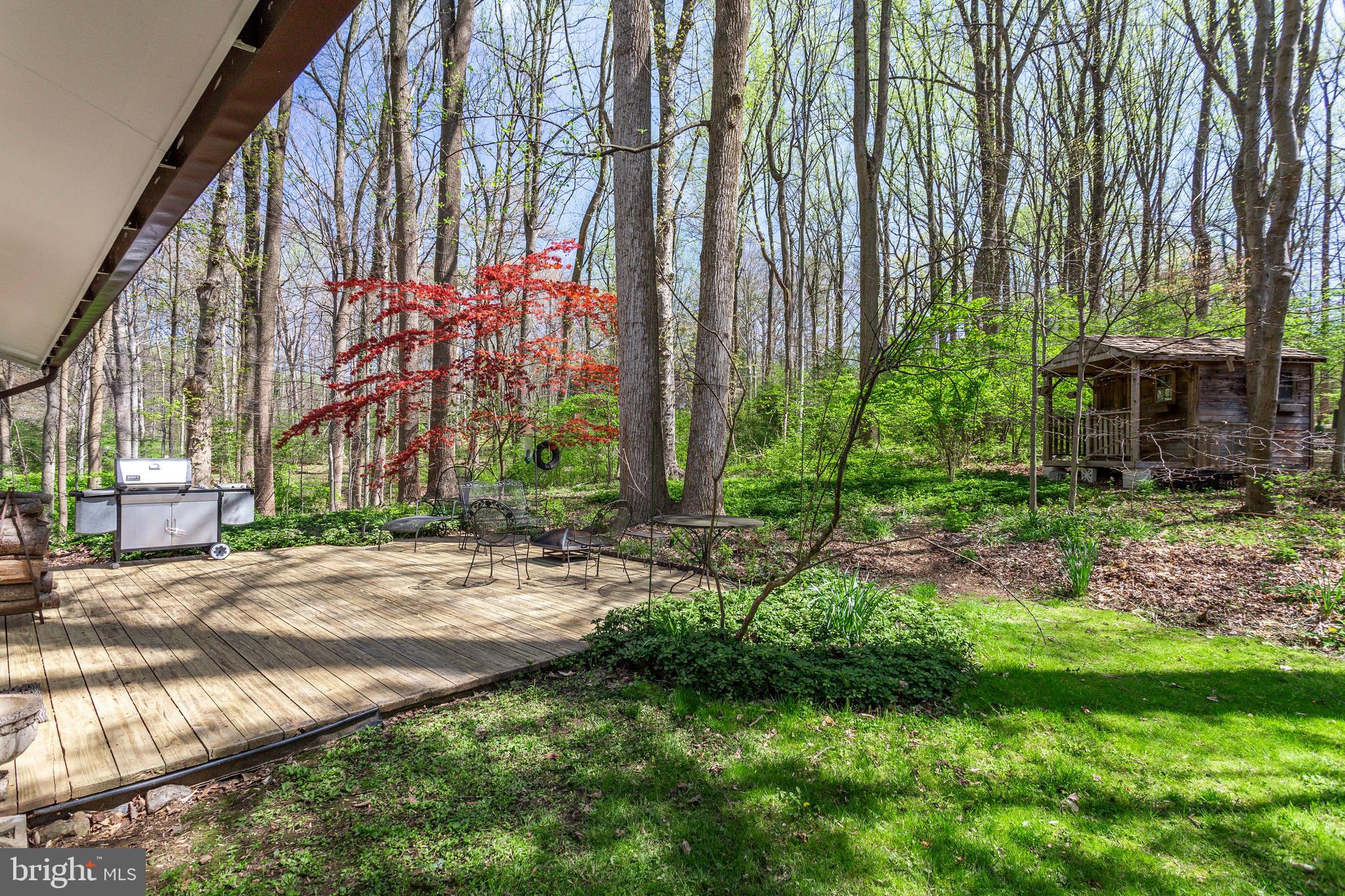 8129 Hamilton Spring Road Bethesda, MD 20817 - Photo 39 of 45