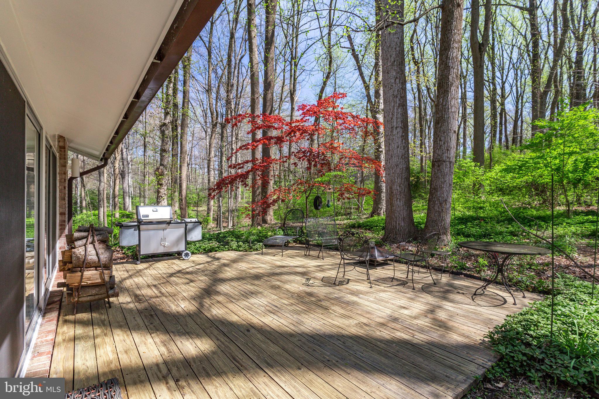 8129 Hamilton Spring Road Bethesda, MD 20817 - Photo 40 of 45
