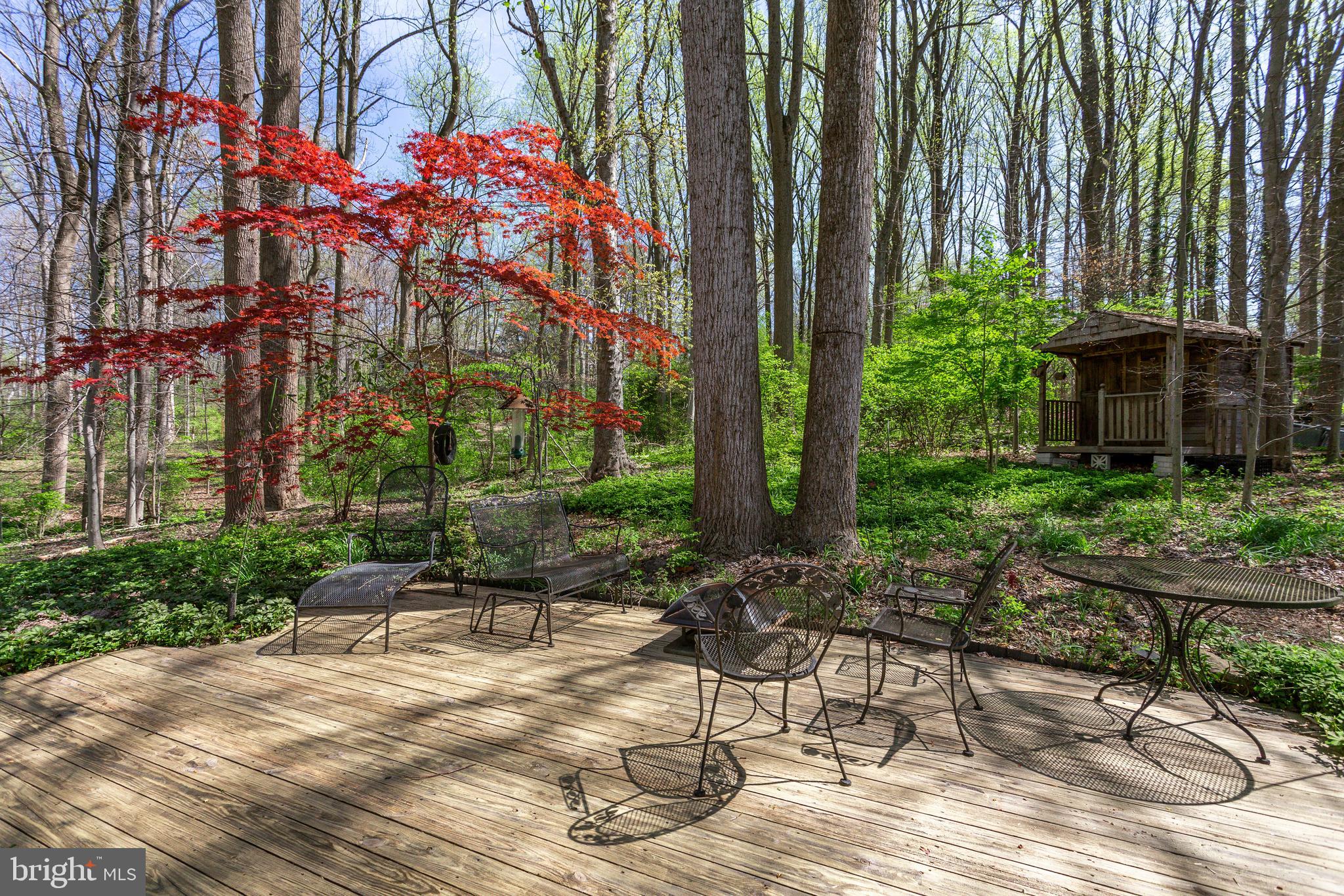 8129 Hamilton Spring Road Bethesda, MD 20817 - Photo 41 of 45