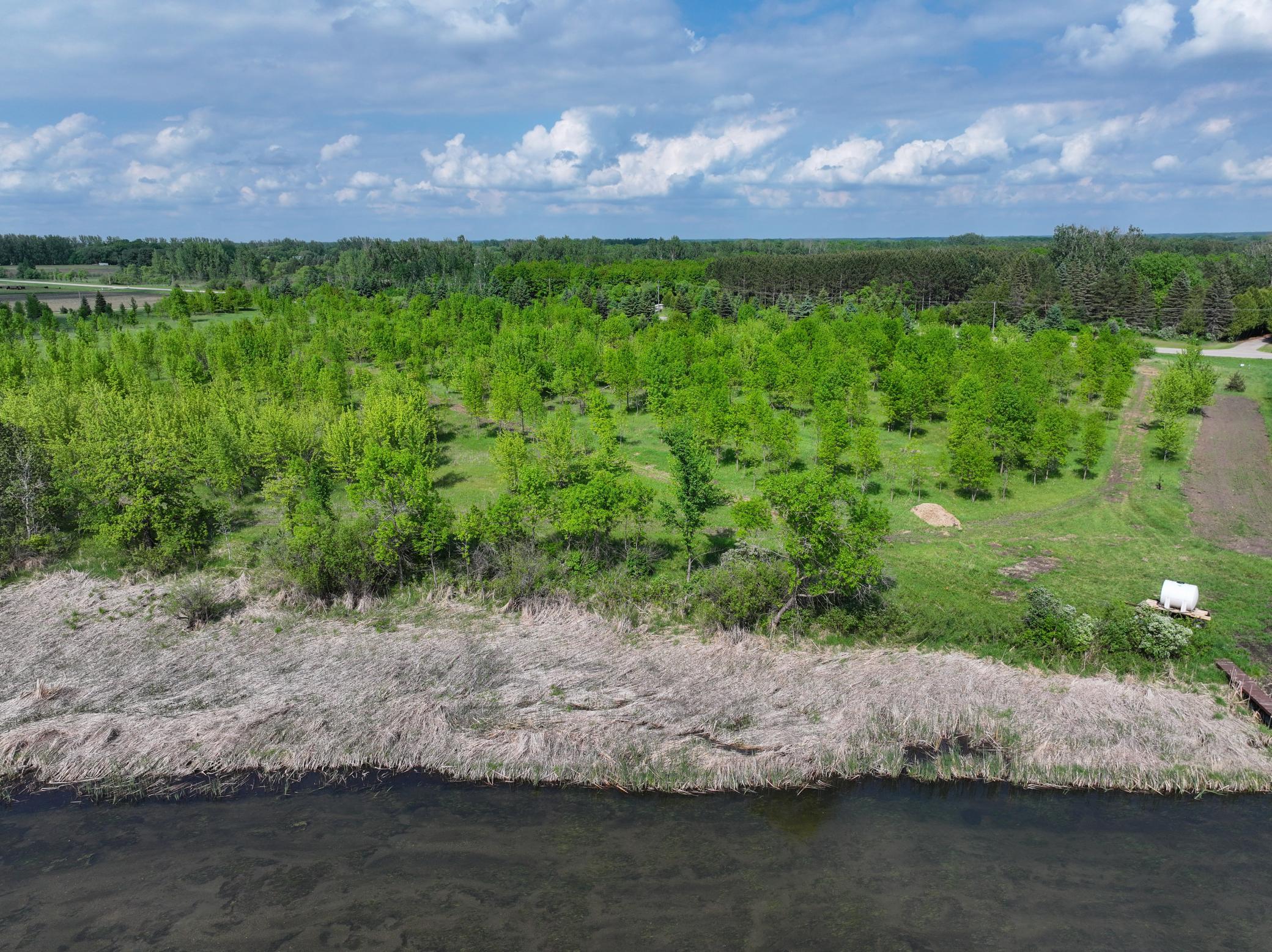 Lot 2 Rutten Lane Northeast Carlos, MN 56319 - Photo 5 of 13