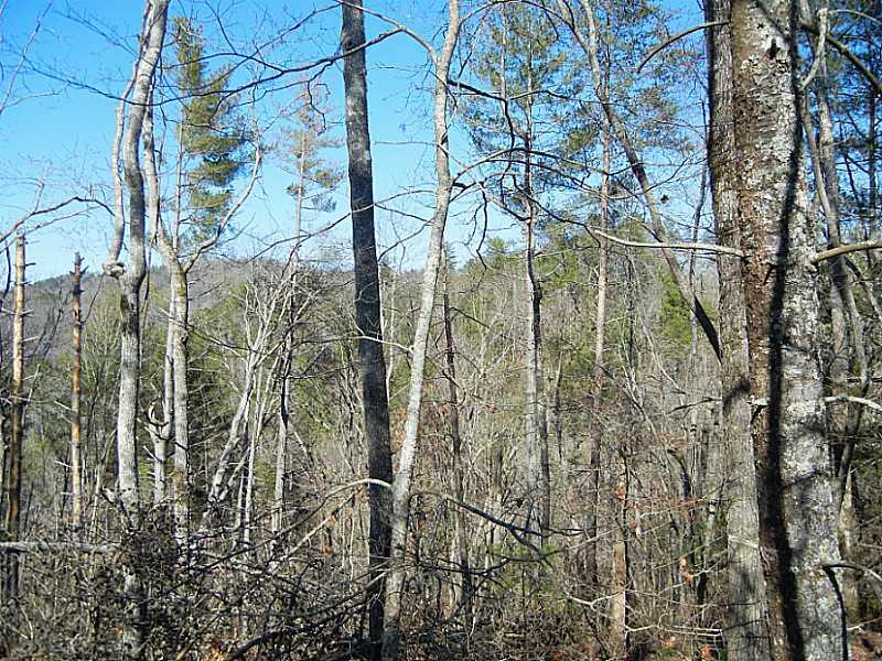 116 Adair Drive Ranger, GA 30734 - Photo 1 of 1 View.
