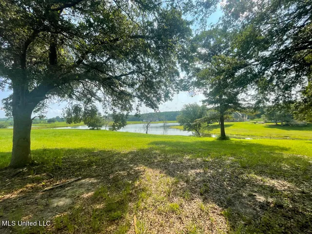 $54,048 | Lot 21 Gracies Way, Lucedale, MS 39452