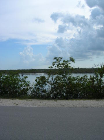 View across street