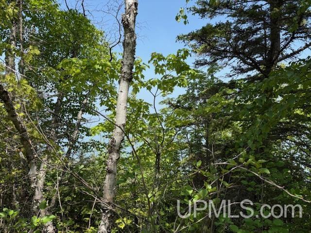 Five 5 Mile Pt Road, Unit LOT 15 OF KIDDER & ROCK S Allouez, MI 49805 - Photo 10 of 46