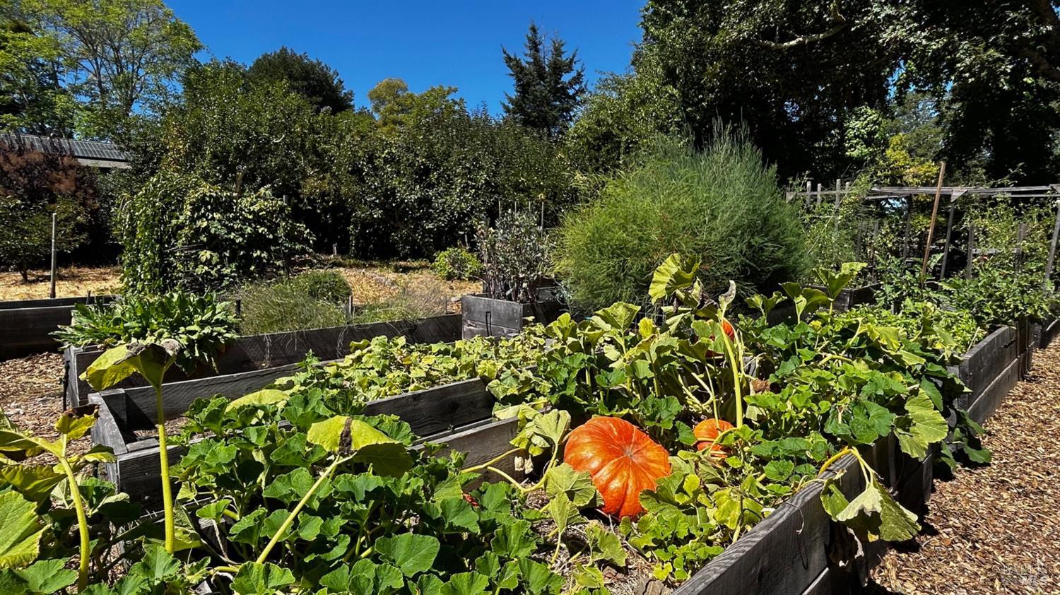 10463 Mill Station Road Sebastopol, CA 95472 - Photo 39 of 63