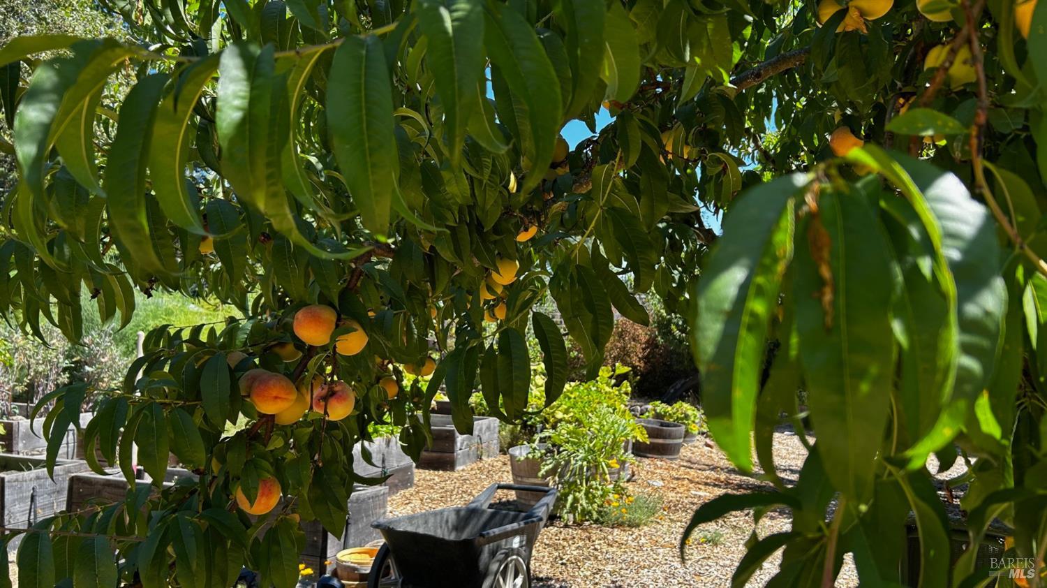 10463 Mill Station Road Sebastopol, CA 95472 - Photo 41 of 63