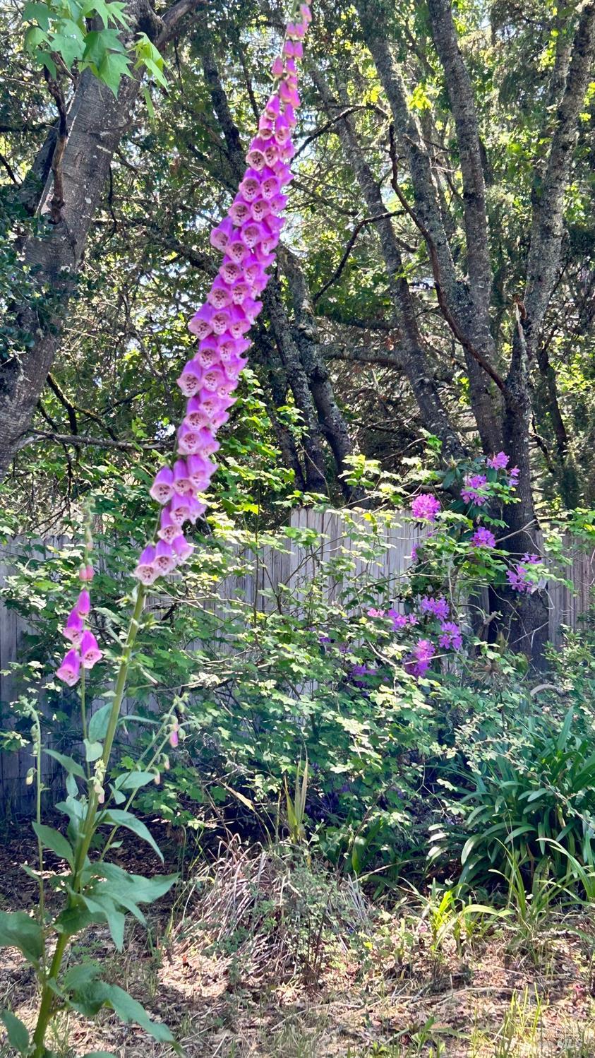 10463 Mill Station Road Sebastopol, CA 95472 - Photo 54 of 63