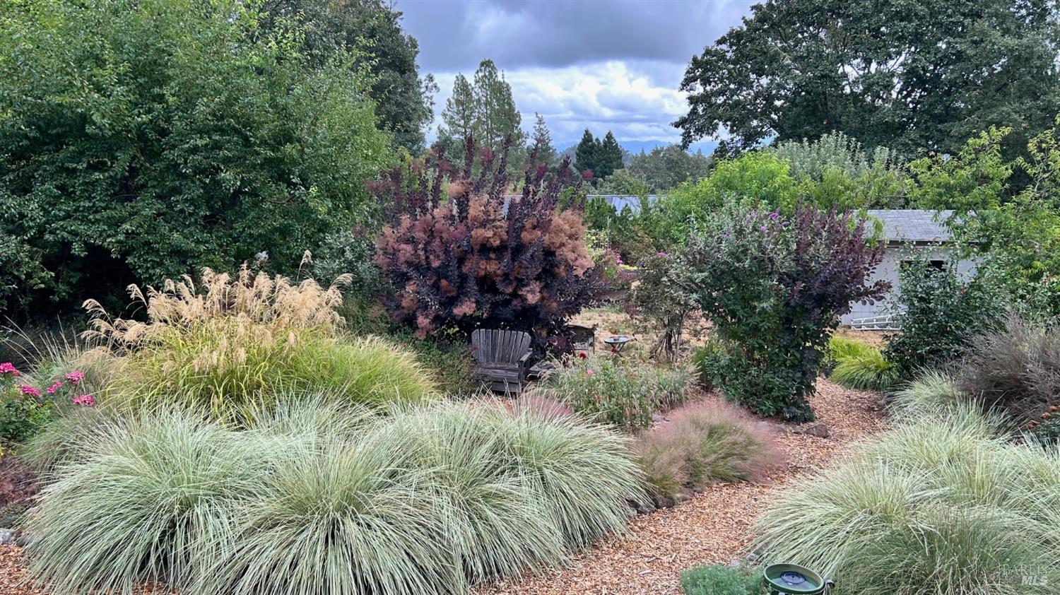 10463 Mill Station Road Sebastopol, CA 95472 - Photo 55 of 63