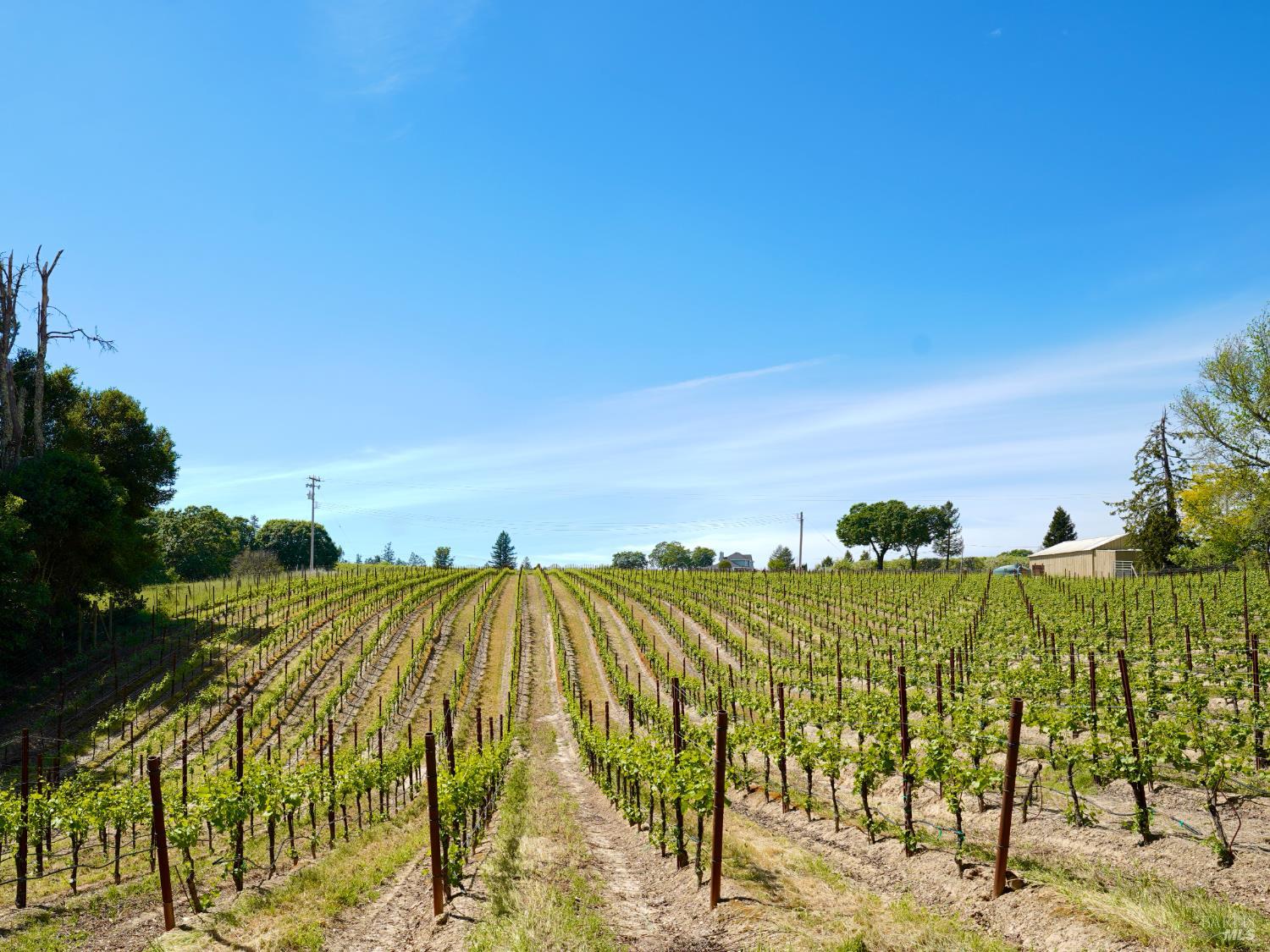 10463 Mill Station Road Sebastopol, CA 95472 - Photo 56 of 63