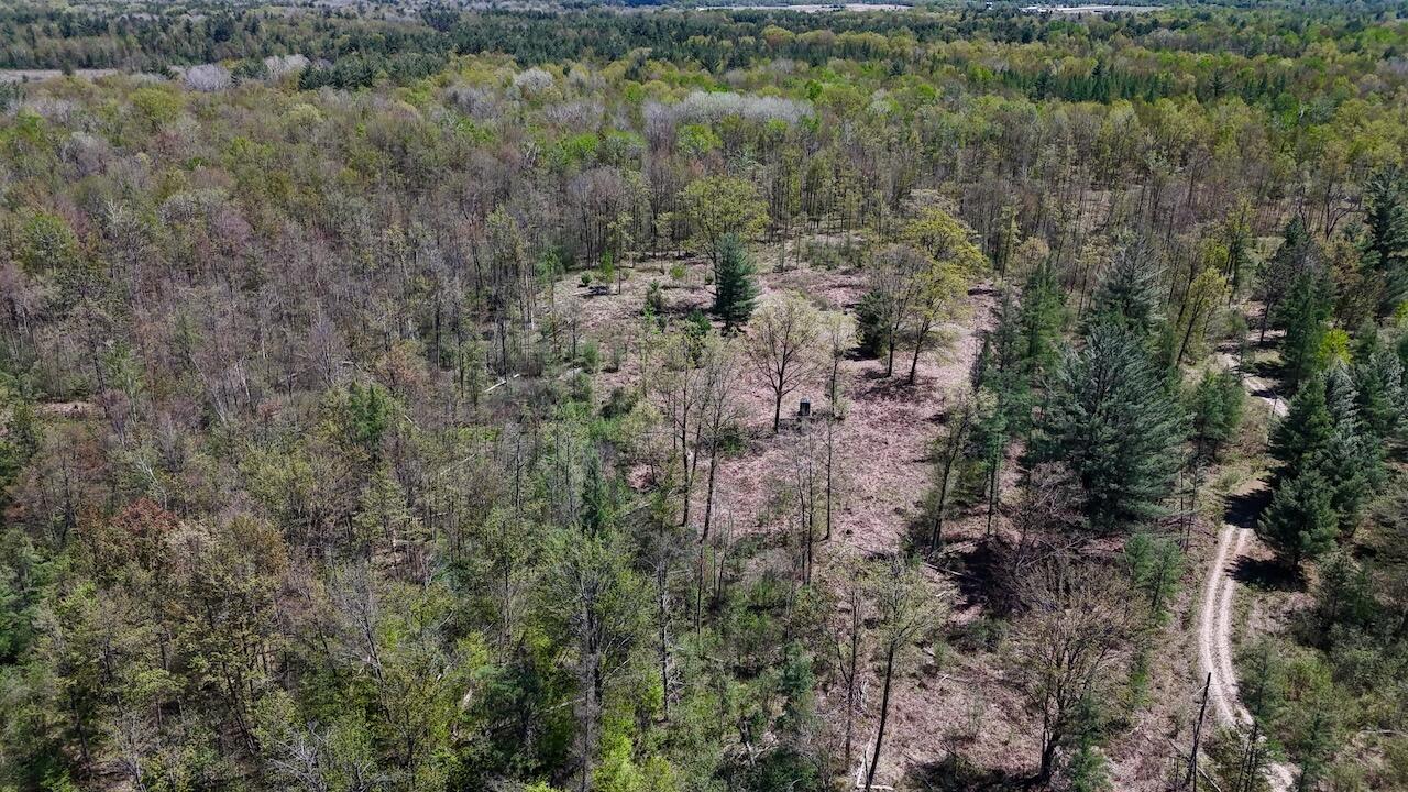 La Grant Road Alger, MI 48610 - Photo 42 of 46 033