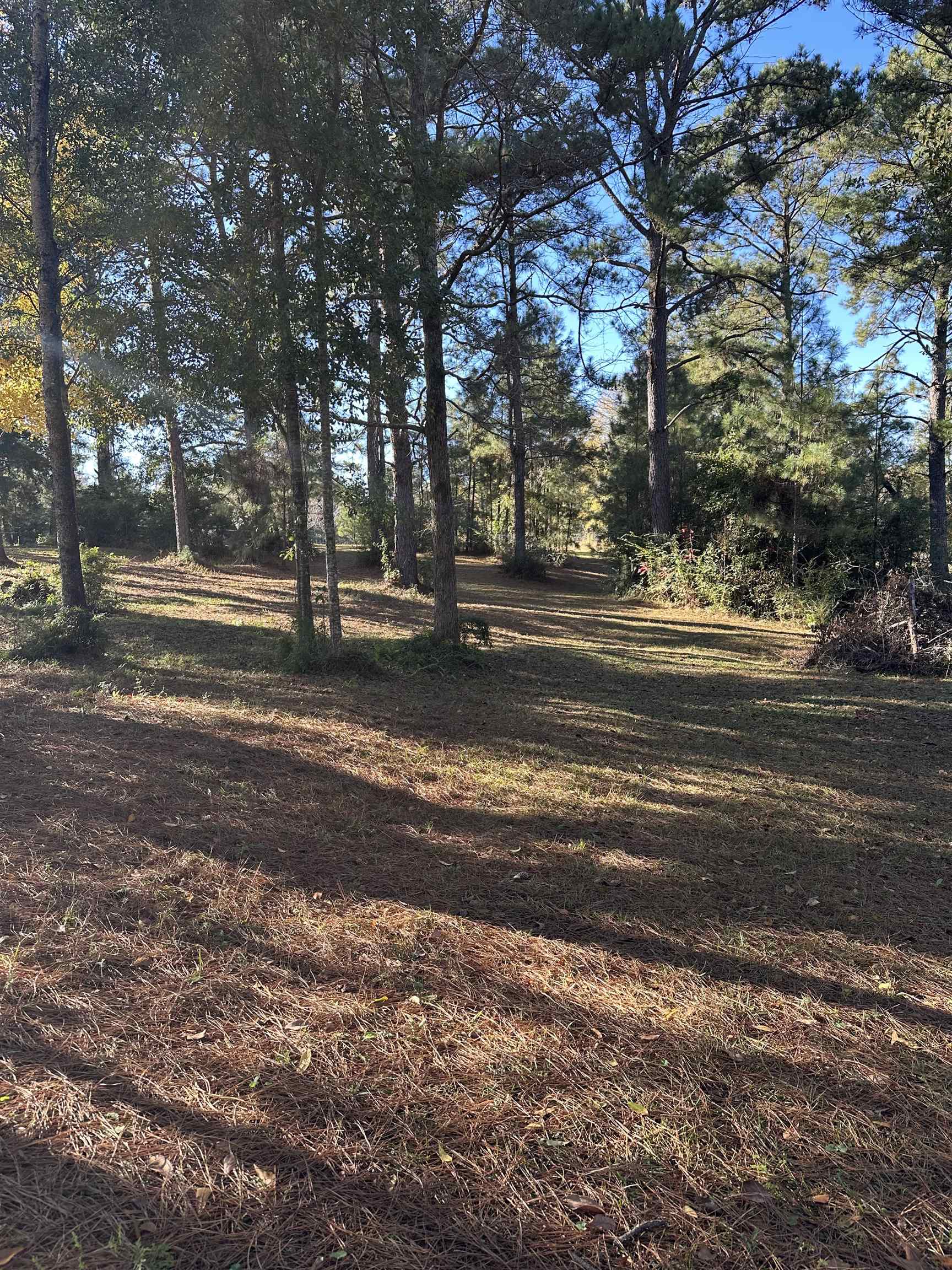 35840 County Road 39 Stapleton, AL 36578 - Photo 15 of 16 Acreage
