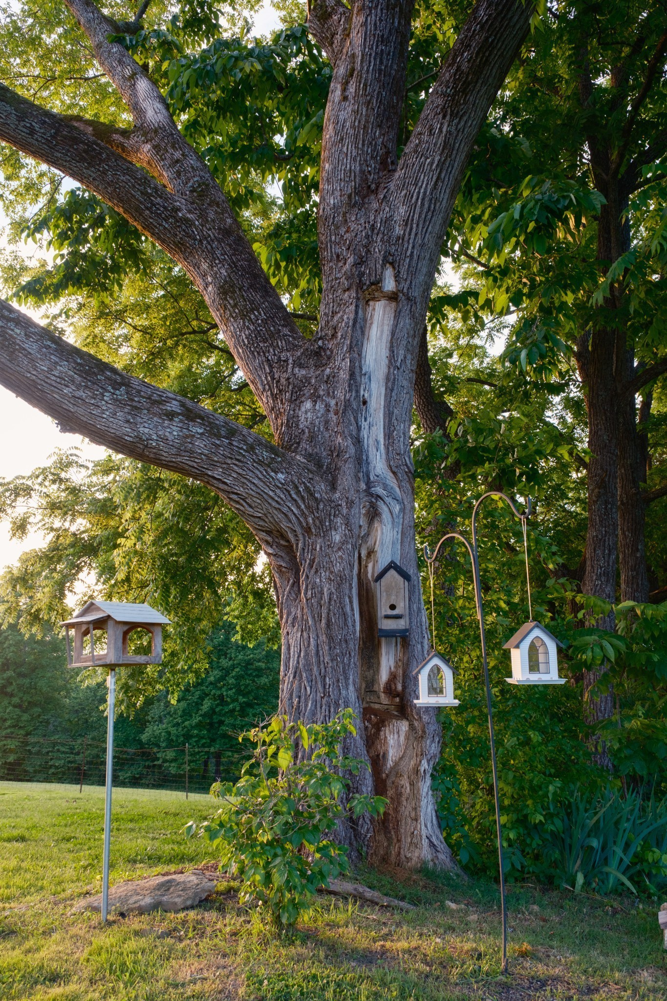 5956 Greenbriar Road Franklin, TN 37064 - Photo 15 of 41 a backyard of a house with lots of green space