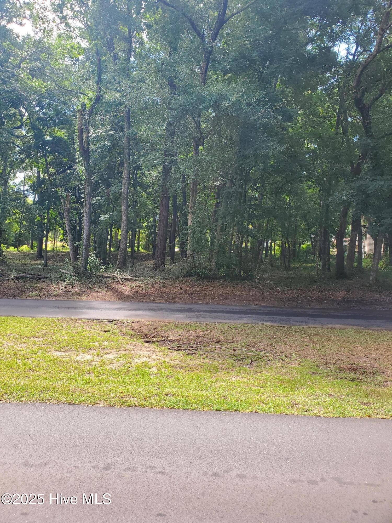 9093 Ocean Harbour Golf Club Road Southwest Calabash, NC 28467 - Photo 6 of 7 20250724_111158
