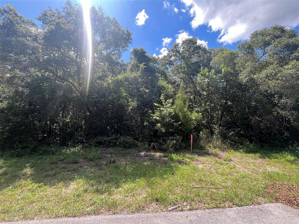 Southwest 43rd Court Road Ocala, FL 34473 - Photo 1 of 1 Gallery Image 1