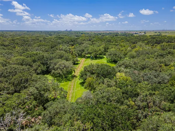 a view of a lush green field