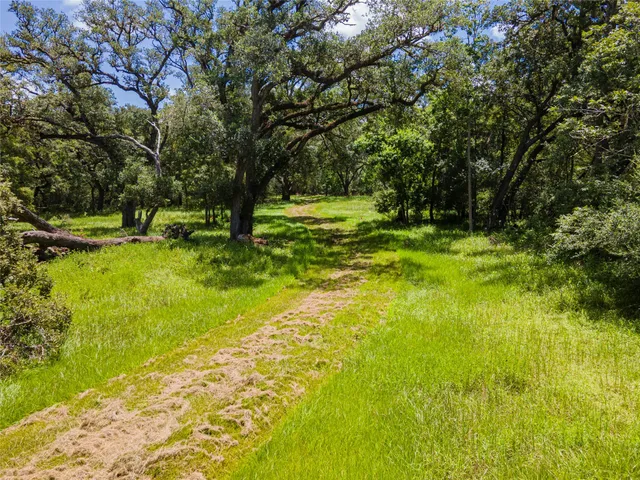 a view of an trees with an outdoor space