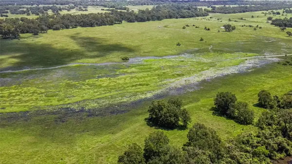 a view of an ocean from a yard
