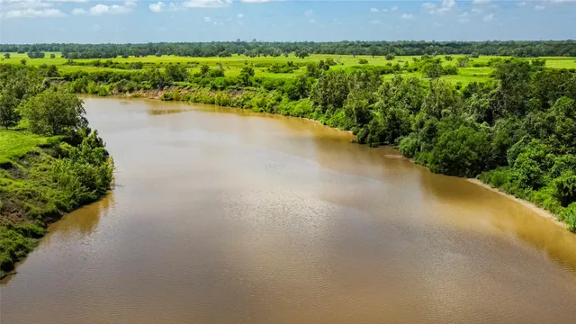a view of a yard with plants