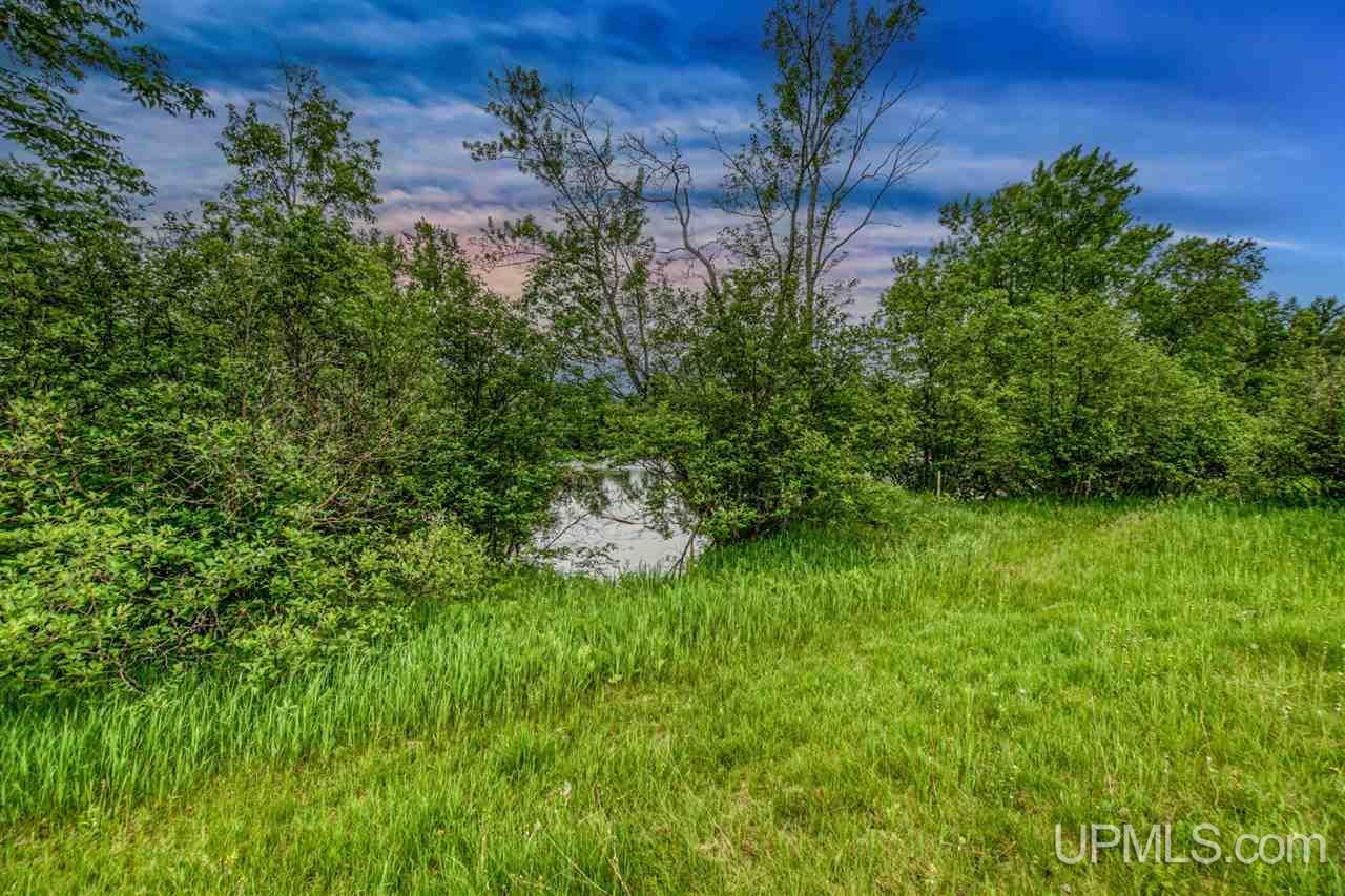 Tbd New York Lake Road, Unit 4 Vulcan, MI 49892 - Photo 4 of 10 Gallery Image 4