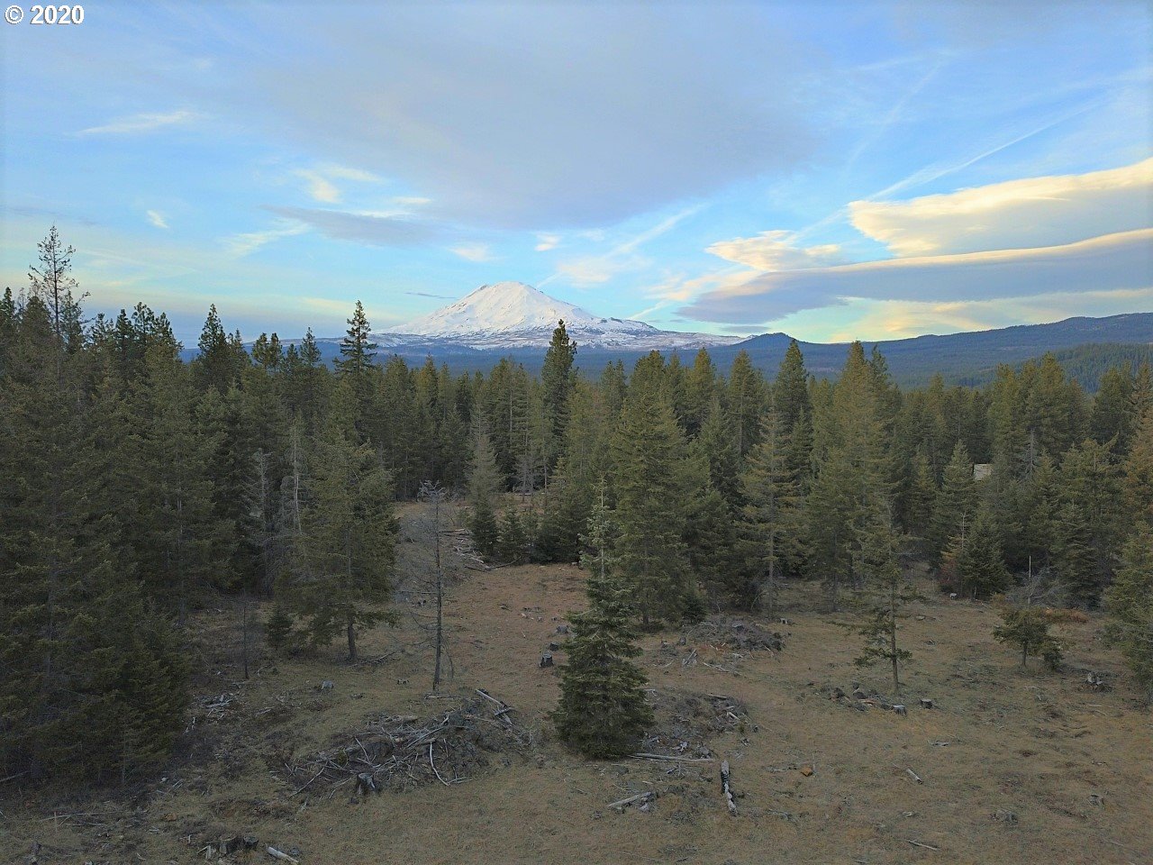 30 Lava Road Trout Lake, WA 98650 - Photo 1 of 15 Gallery Image 1
