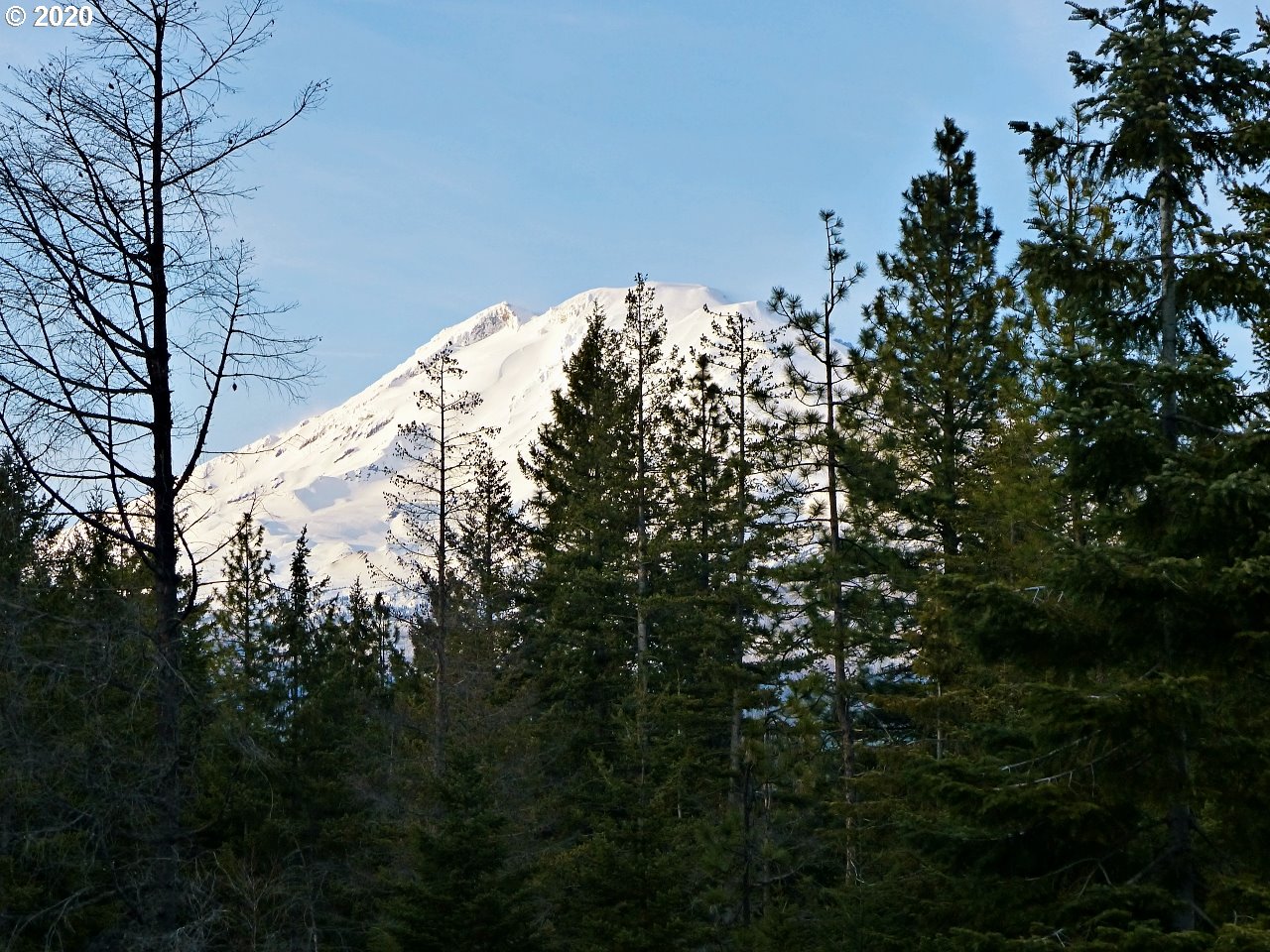 30 Lava Road Trout Lake, WA 98650 - Photo 11 of 15 Gallery Image 11