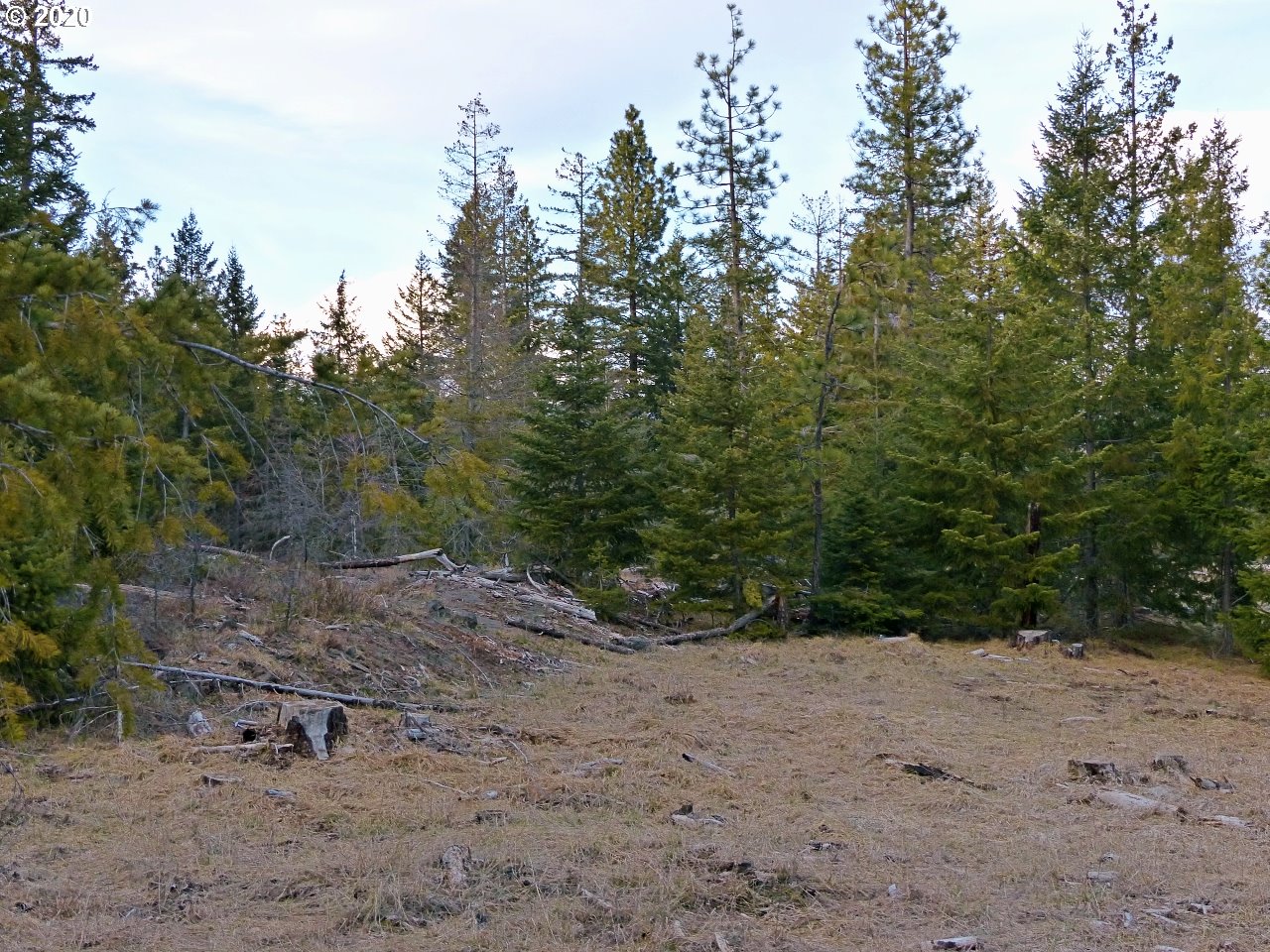30 Lava Road Trout Lake, WA 98650 - Photo 13 of 15 Gallery Image 13