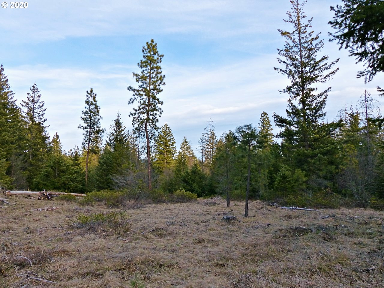 30 Lava Road Trout Lake, WA 98650 - Photo 14 of 15 Gallery Image 14