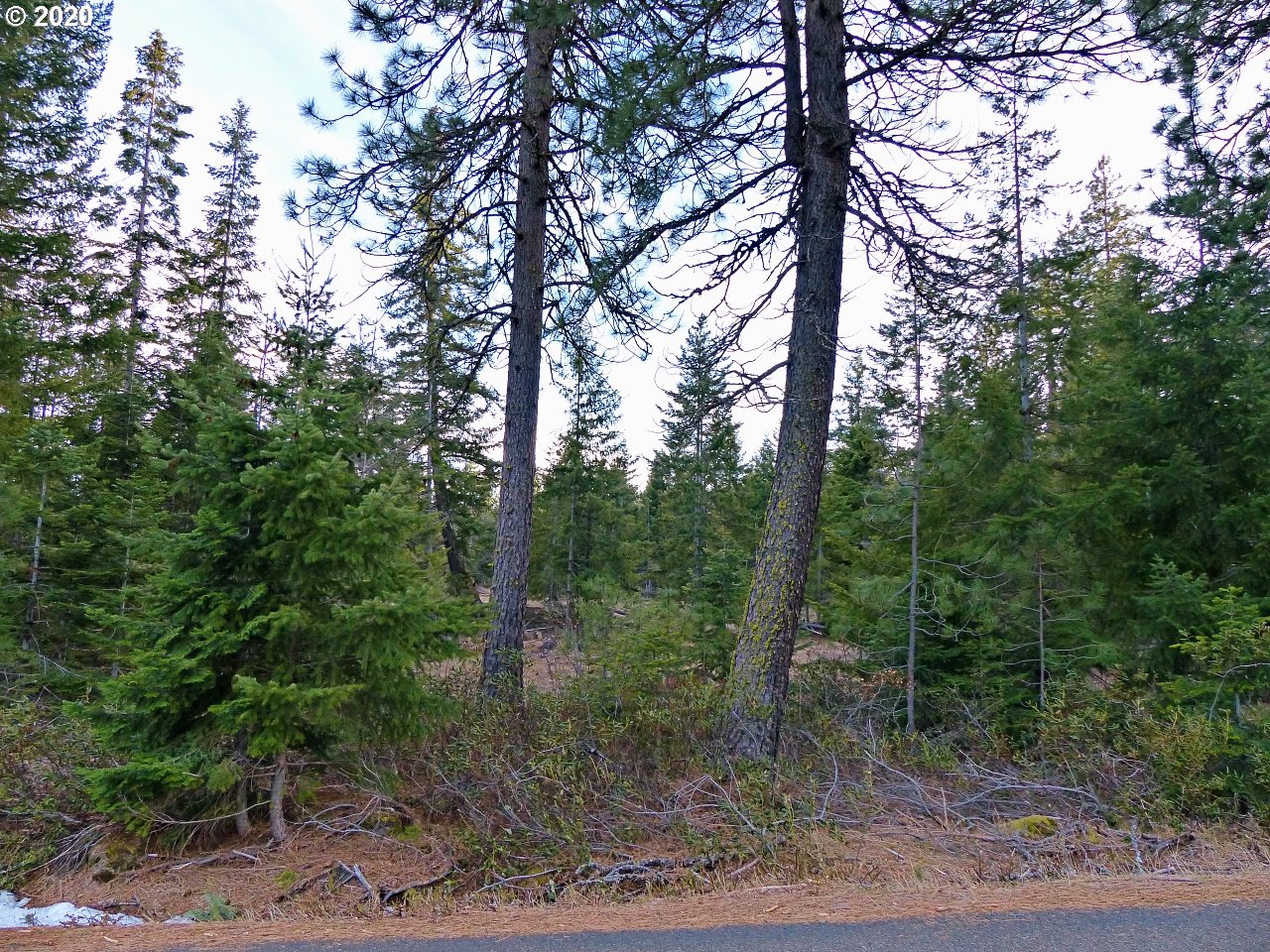 30 Lava Road Trout Lake, WA 98650 - Photo 7 of 15 Gallery Image 7