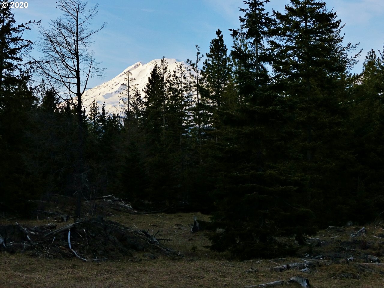 30 Lava Road Trout Lake, WA 98650 - Photo 9 of 15 Gallery Image 9