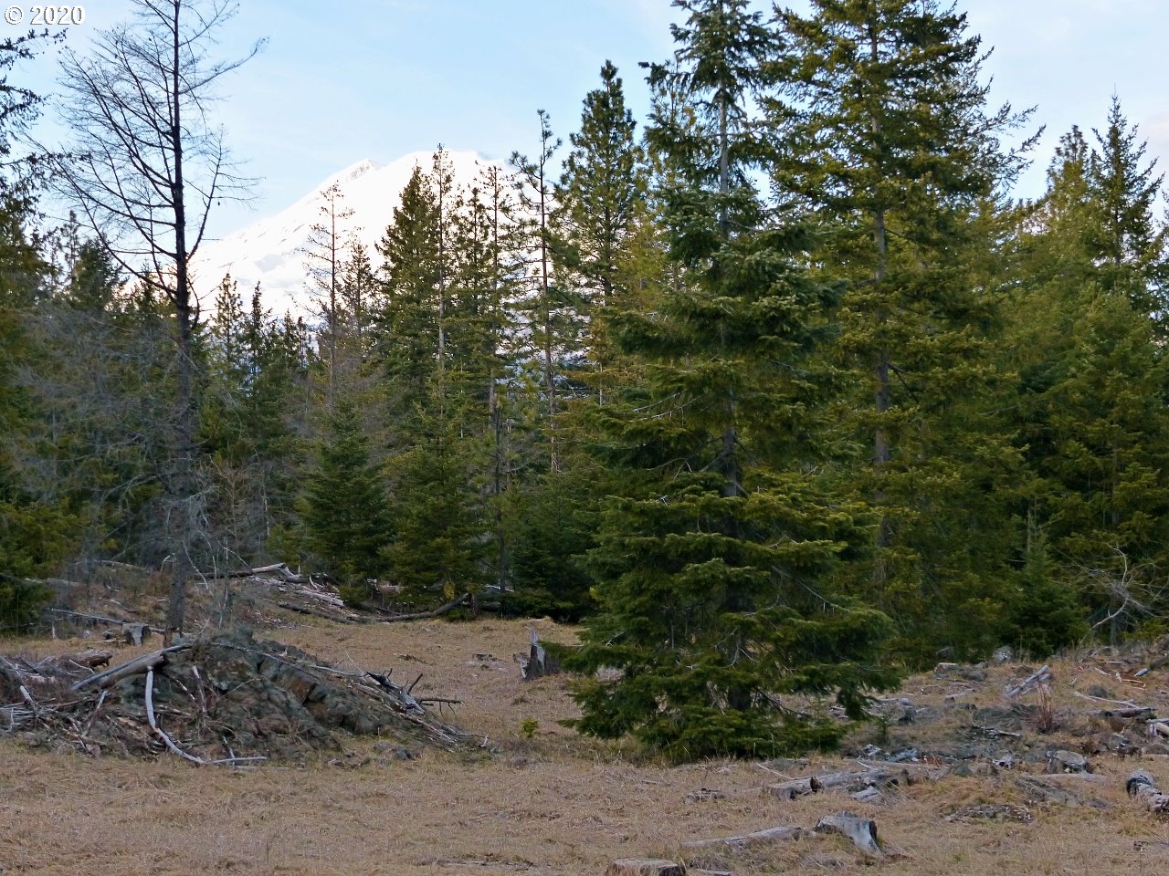 30 Lava Road Trout Lake, WA 98650 - Photo 10 of 15 Gallery Image 10