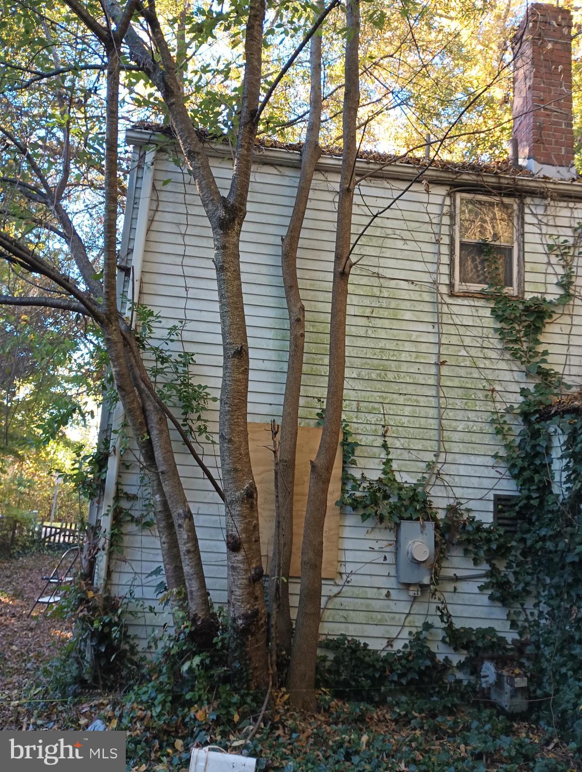 5904 Riverside Drive Riverdale, MD 20737 - Photo 33 of 36 Back of house