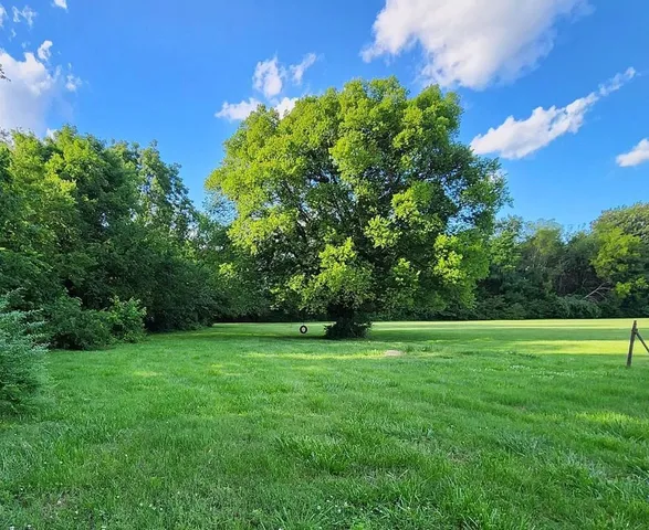 a view of a grassy field with trees
