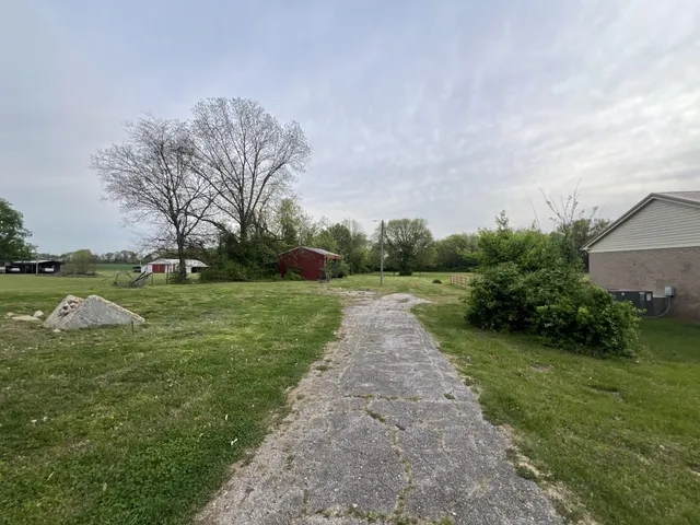 a view of a park with large trees