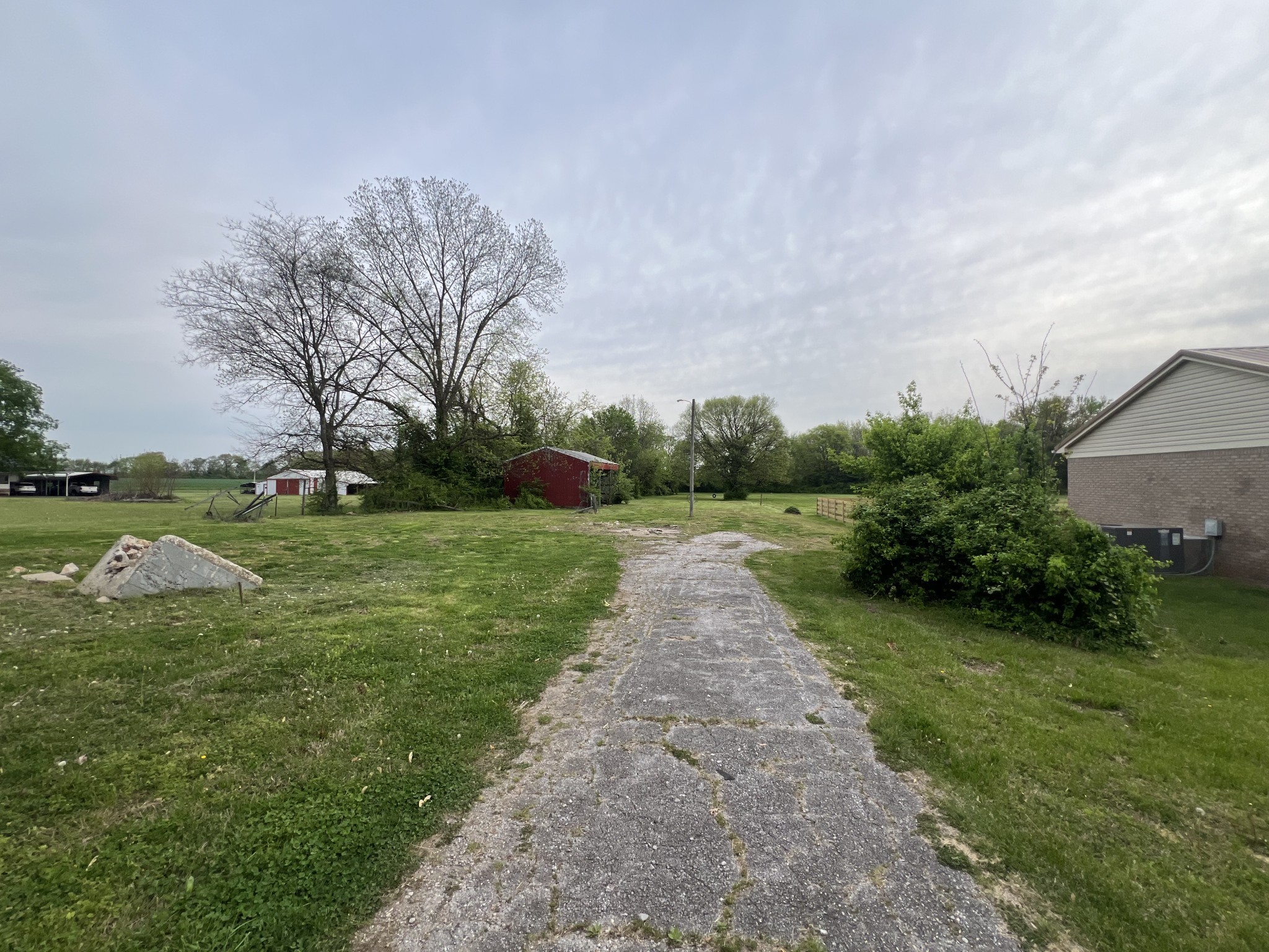 1014 West Cedar Street Franklin, KY 42134 - Photo 13 of 15 a view of a park with large trees