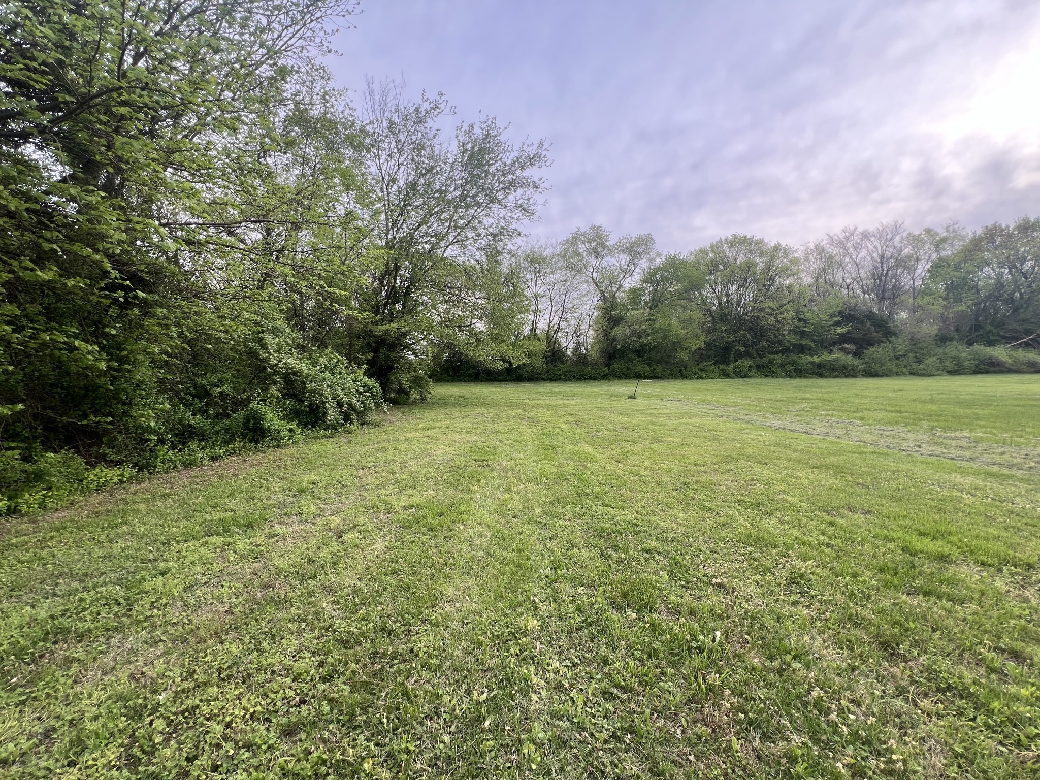 1014 West Cedar Street Franklin, KY 42134 - Photo 3 of 15 a view of a field with trees in the background