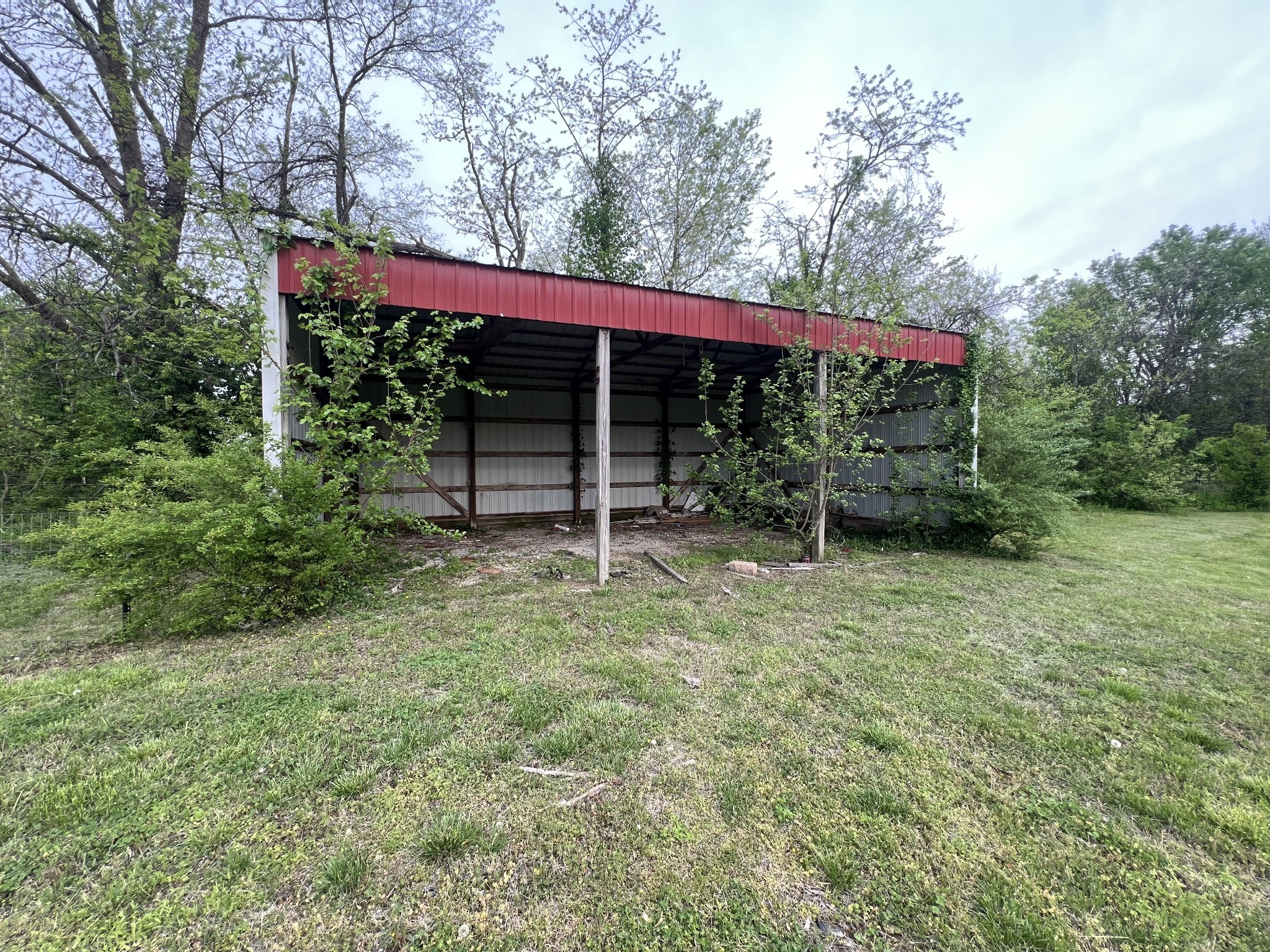 1014 West Cedar Street Franklin, KY 42134 - Photo 5 of 15 a view of a house with a backyard