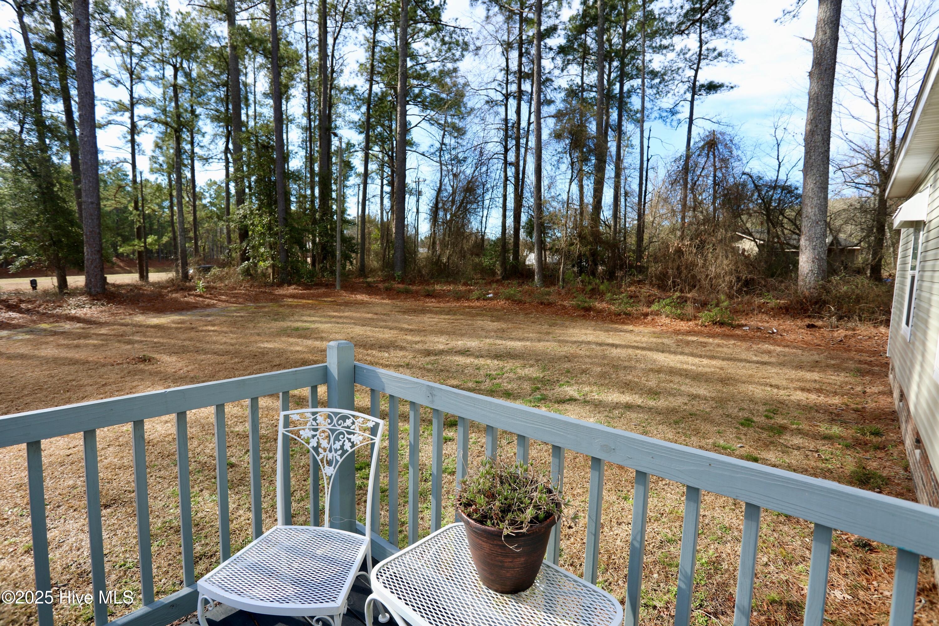 151 Grant Road Vass, NC 28394 - Photo 4 of 41 Front Yard