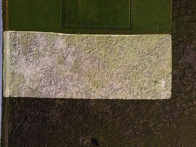 a view of wooden floor