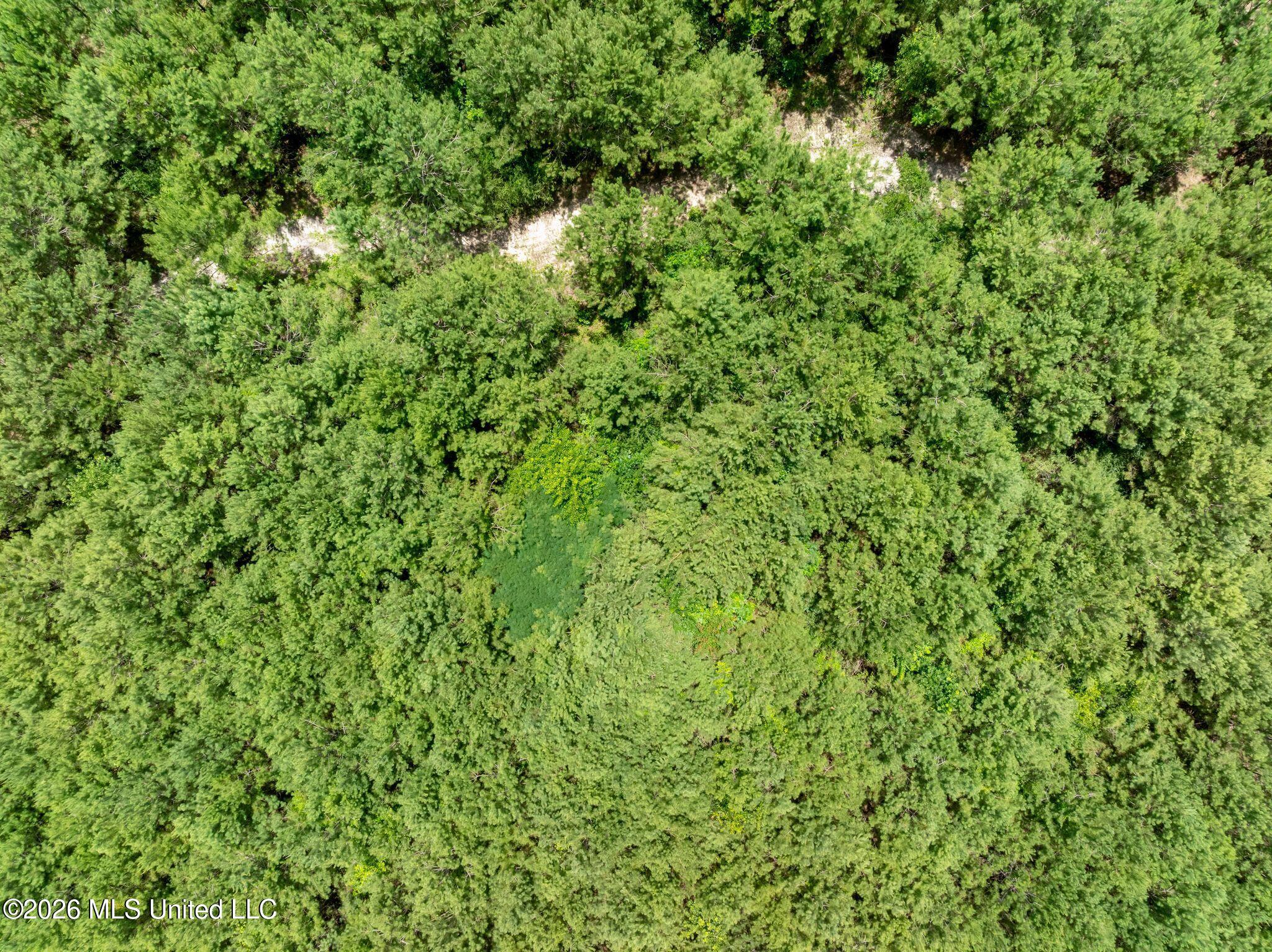 31-acres Ridgeland Road Bassfield, MS 39421 - Photo 16 of 27 85_Ridgeland_Rd-16