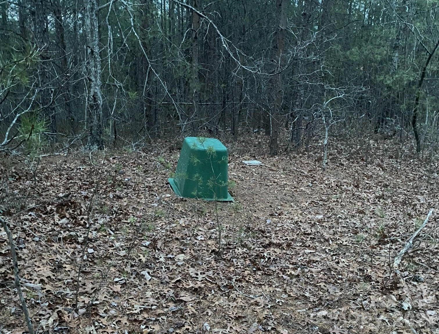 0 Froggyville Ln Mill Spring Mill Spring, NC 28756 - Photo 12 of 14