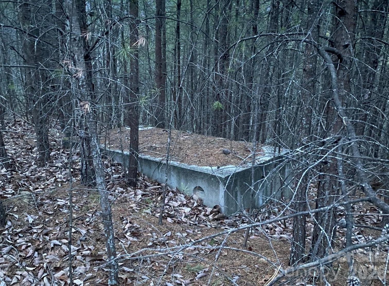 0 Froggyville Ln Mill Spring Mill Spring, NC 28756 - Photo 14 of 14